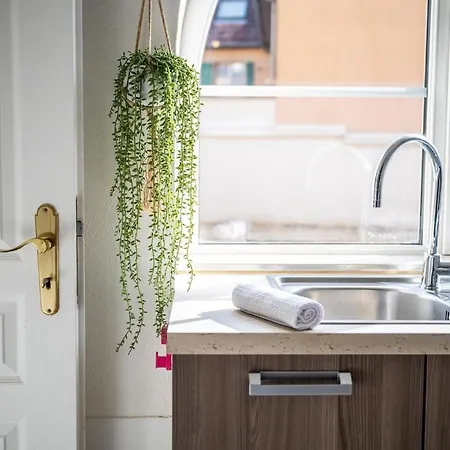 L'oceane - Parking Gratuit - Netflix - Centre - 44 M2 Appartement Guebwiller