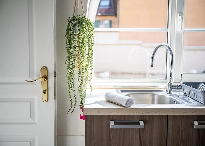 L'oceane - Parking Gratuit - Netflix - Centre - 44 M2 Appartement Guebwiller